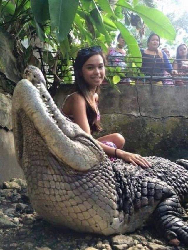 Content Image