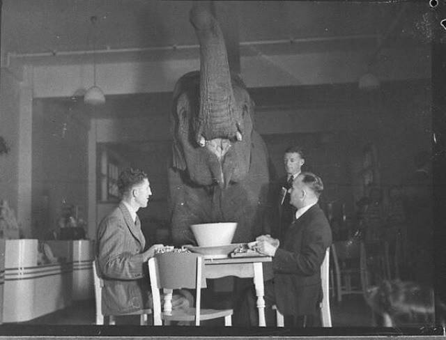 Historical Photos Are Always So Intriguing