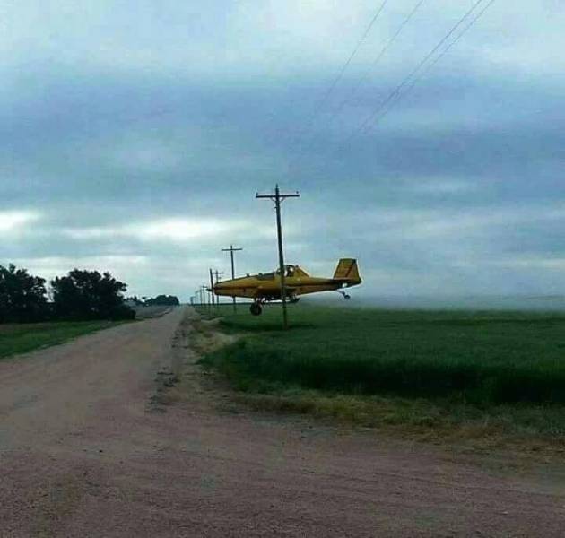 Content Image