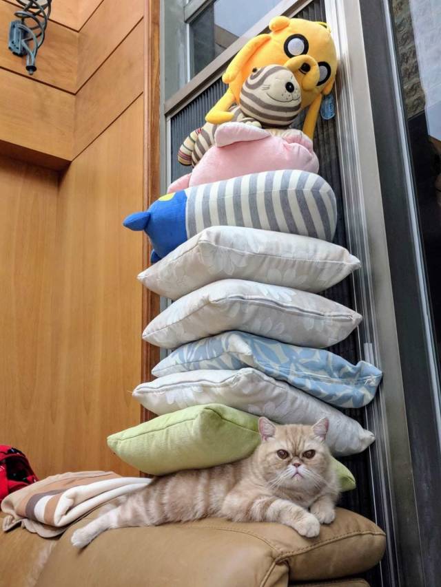 Content Image