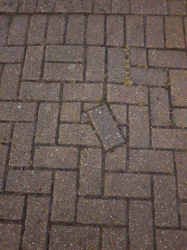 Content Image