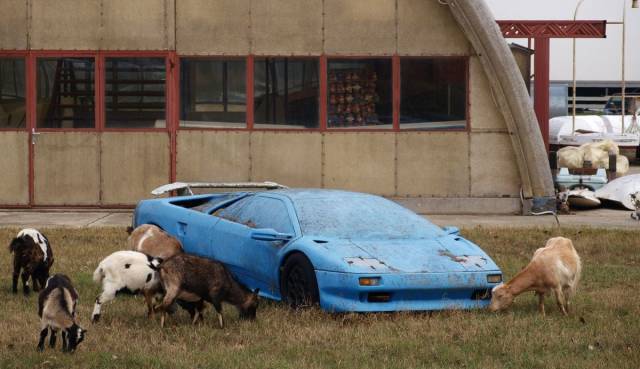 Daily Picdump