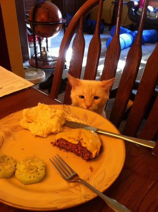 Content Image