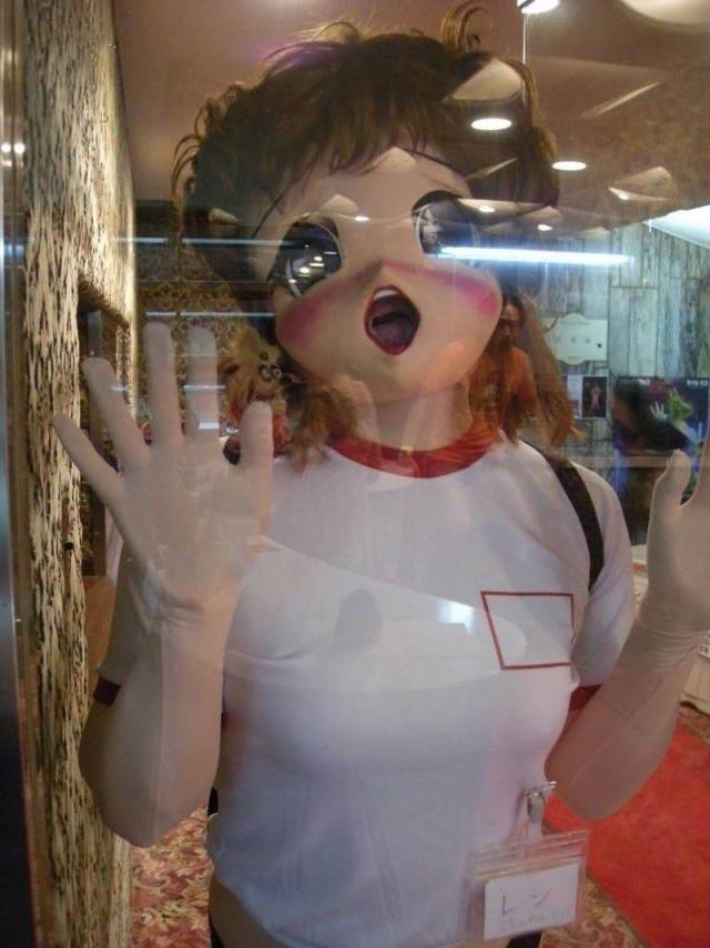 Content Image