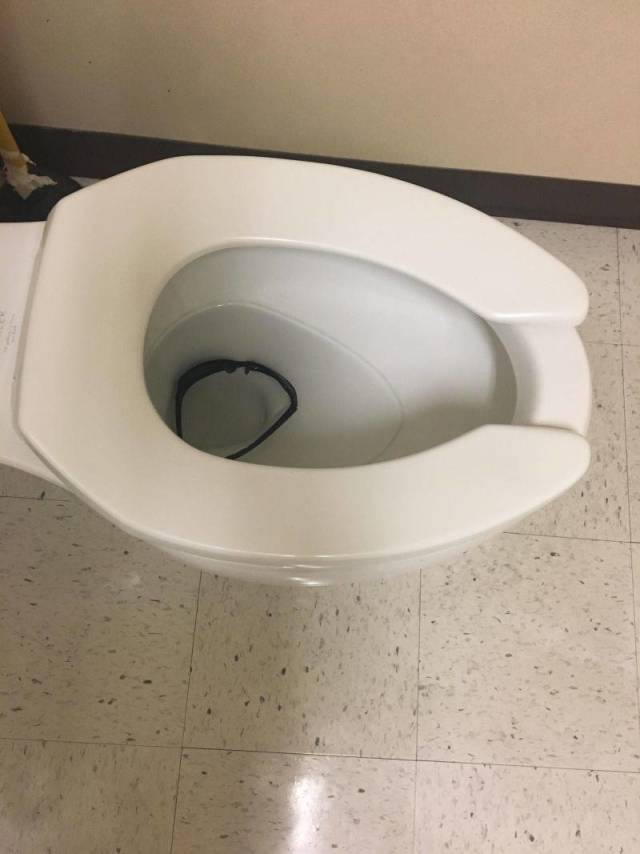 Content Image