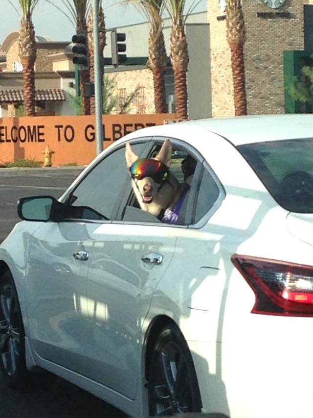 Morning Picdump