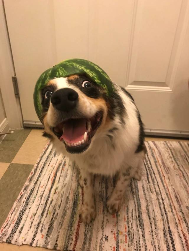 Content Image