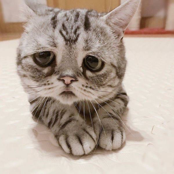 Daily Picdump