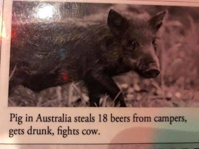 Daily Picdump