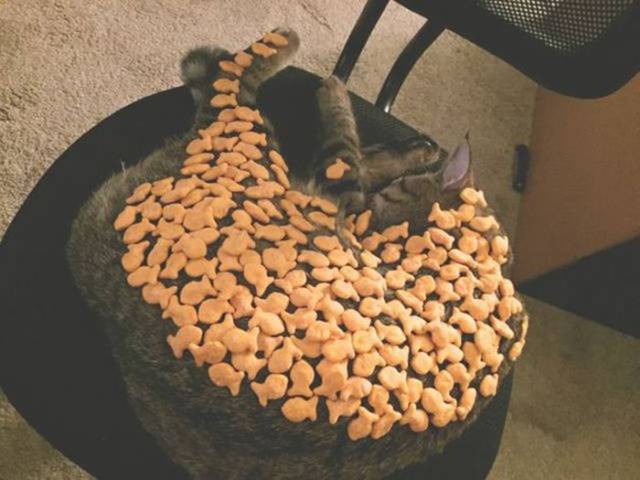 Content Image