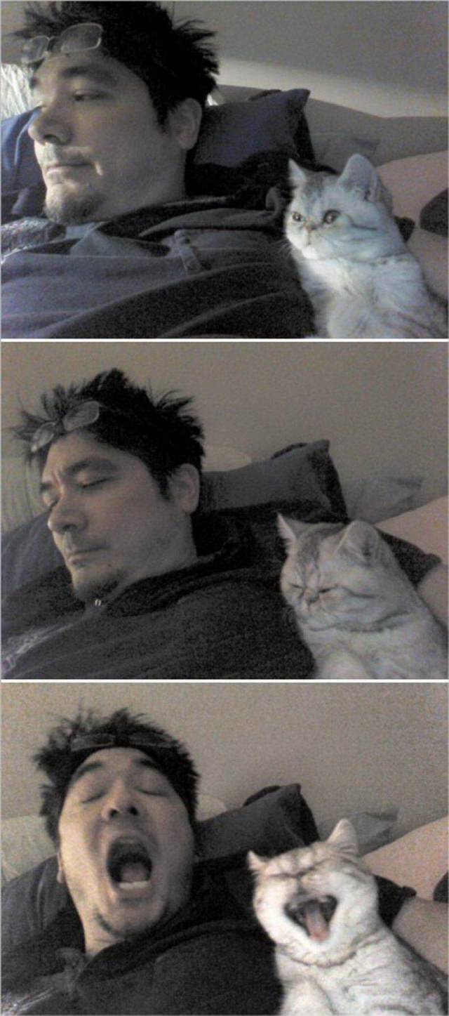 Content Image