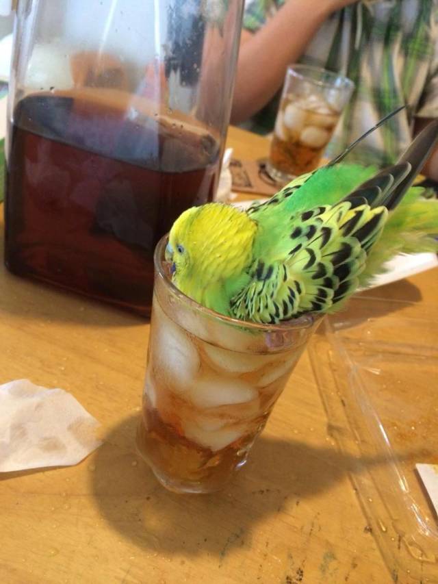 Daily Picdump
