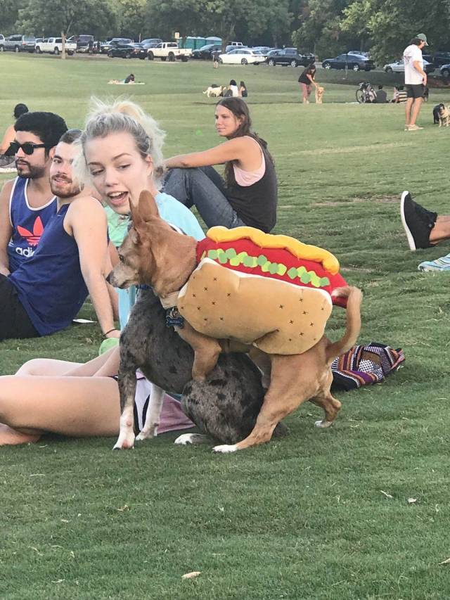 Content Image