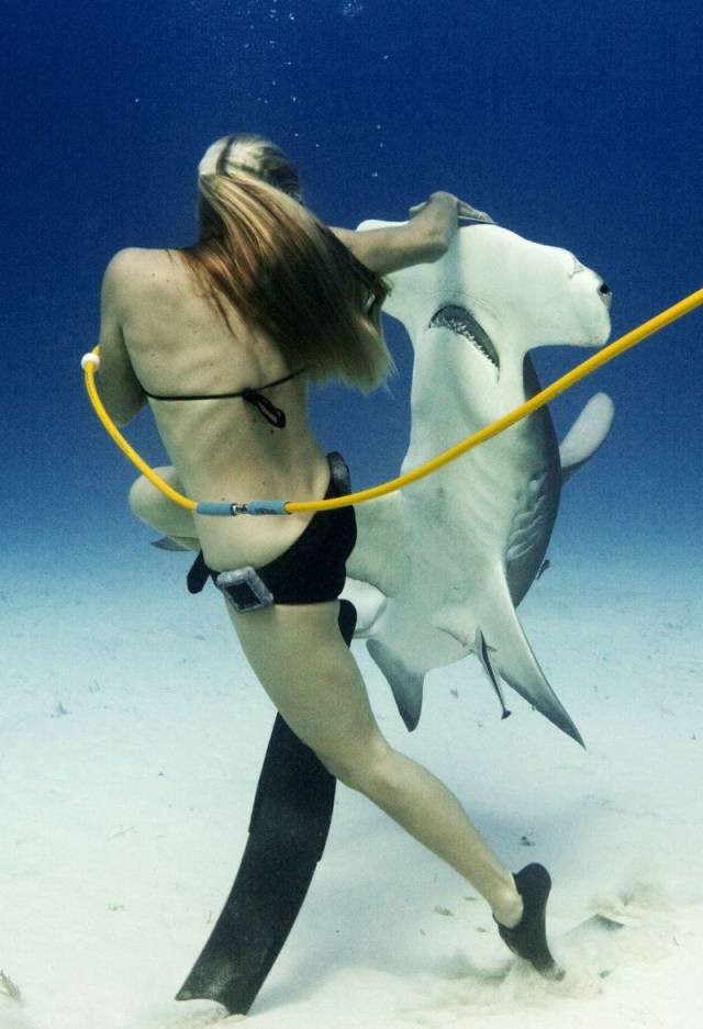Daily Picdump