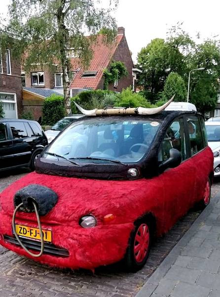 Daily Picdump