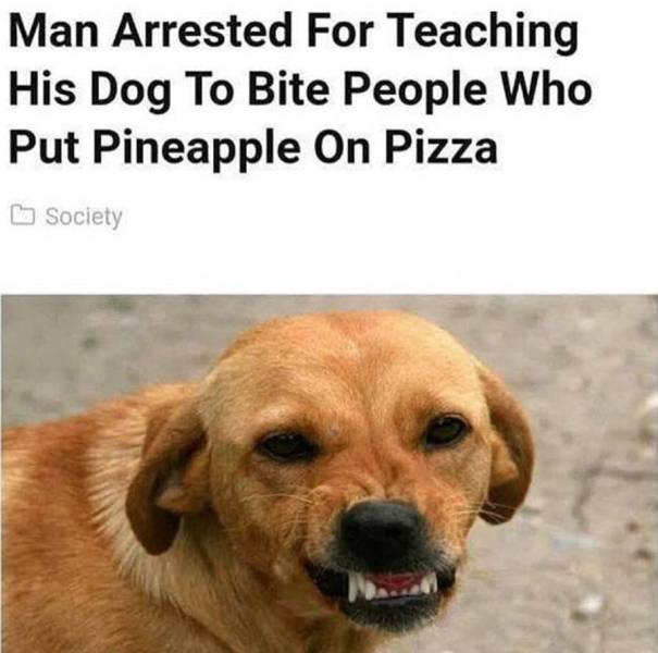 Daily Picdump