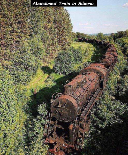 Content Image