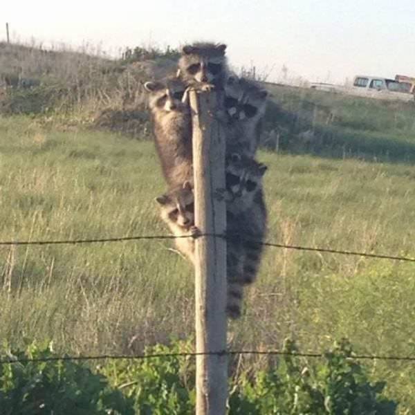 Daily Picdump
