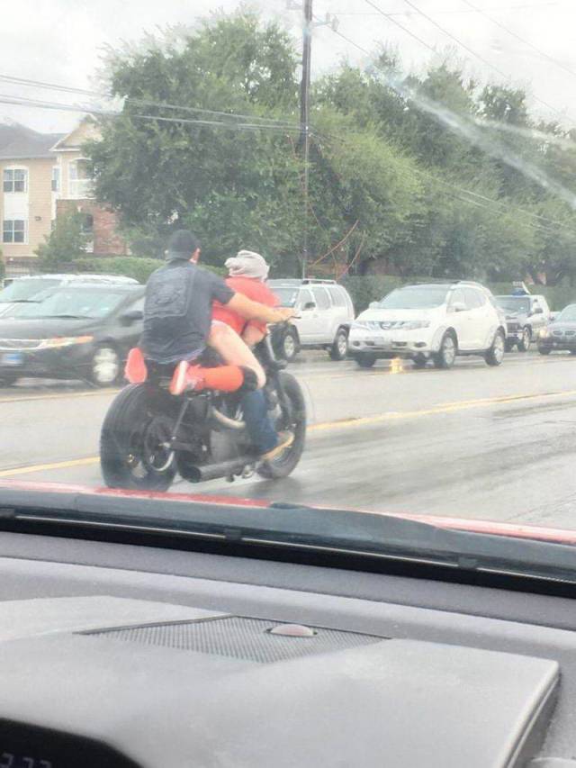 Daily Picdump