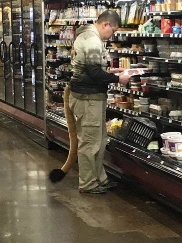 Content Image
