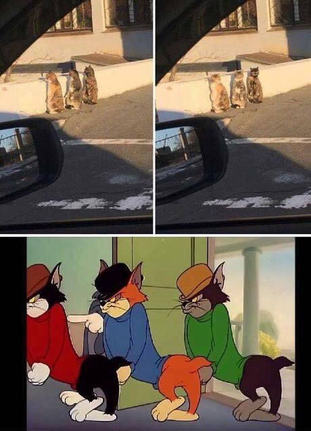 Content Image