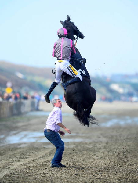 Morning Picdump