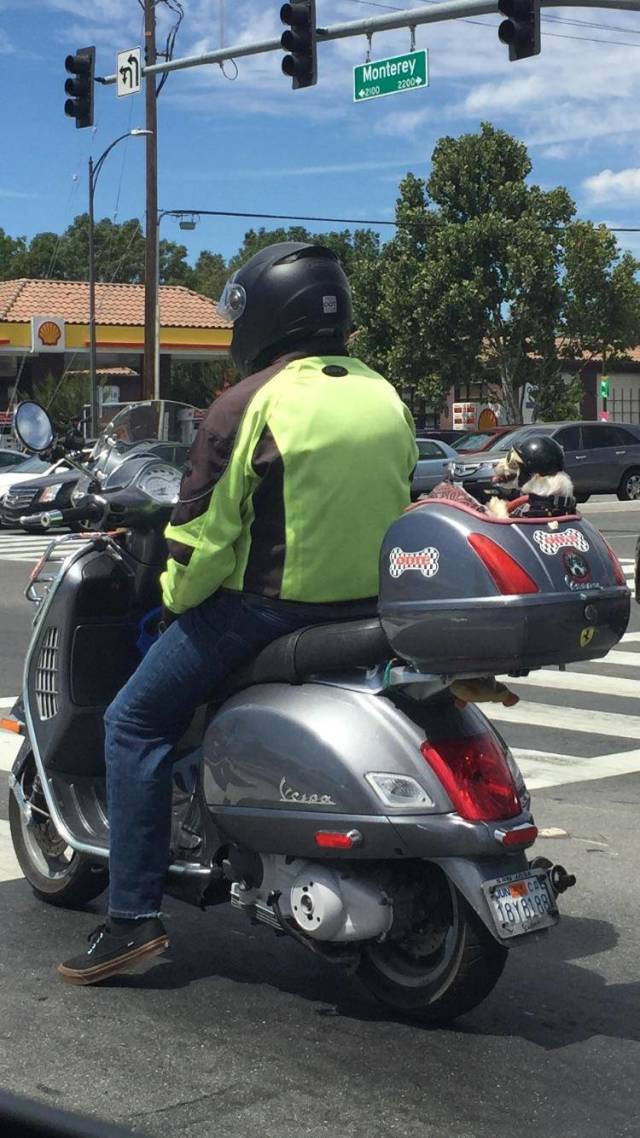 Daily Picdump [WEEKEND EDITION]
