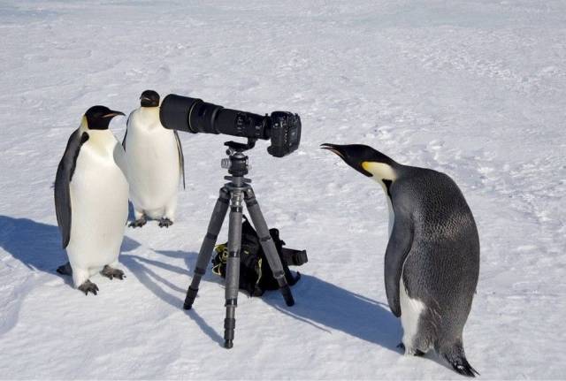 Daily Picdump