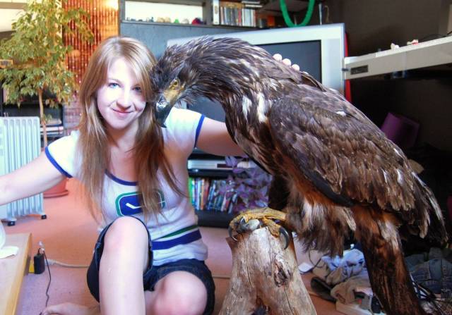 Daily Picdump