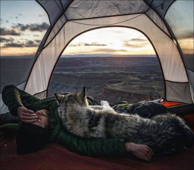 Daily Picdump