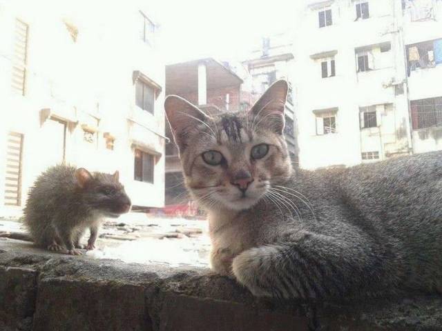 Daily Picdump