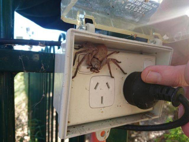 Content Image