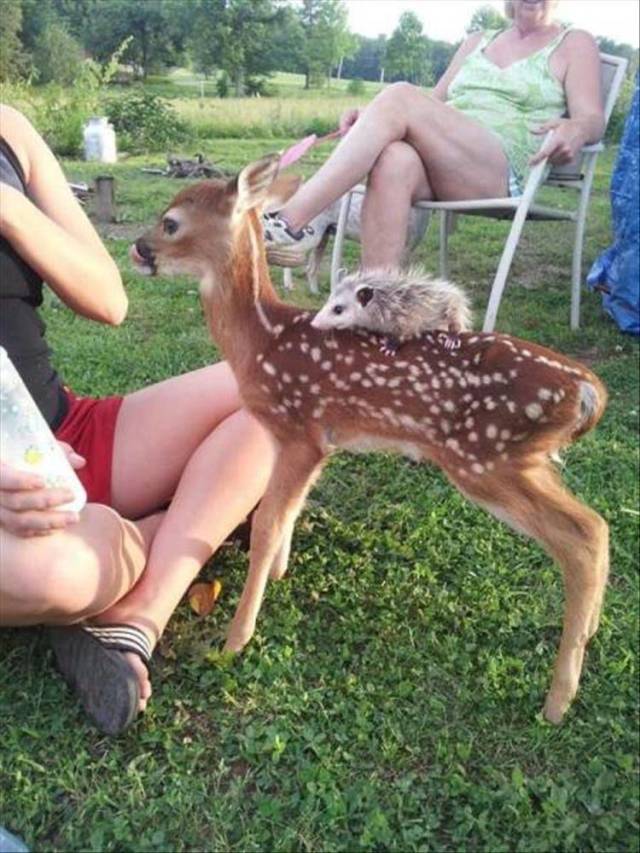 Daily Picdump