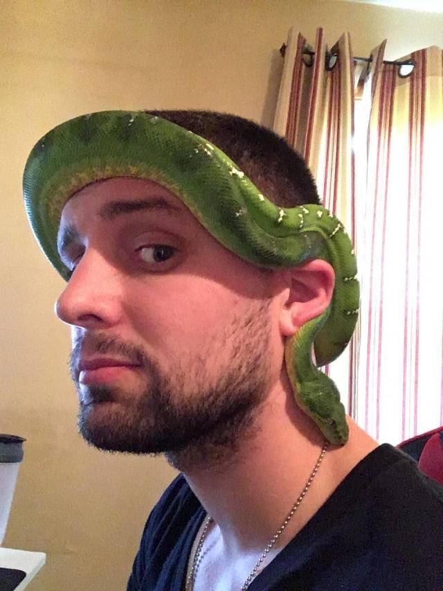 Content Image