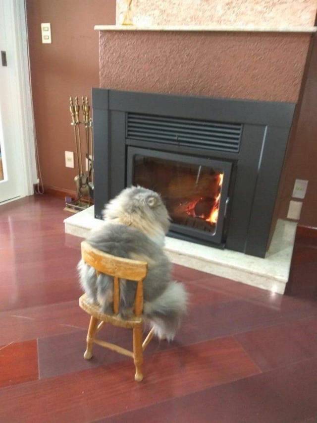 Content Image