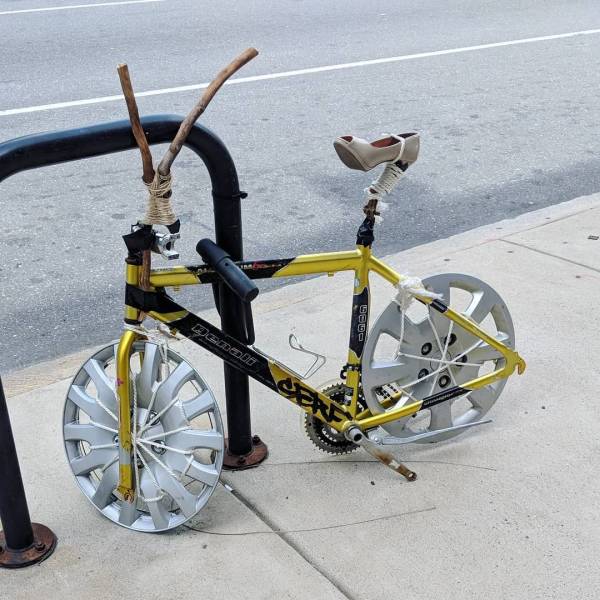Daily Picdump