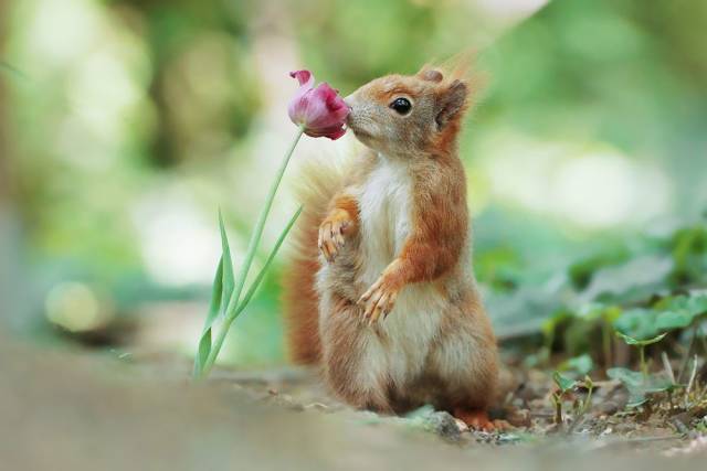Daily Picdump
