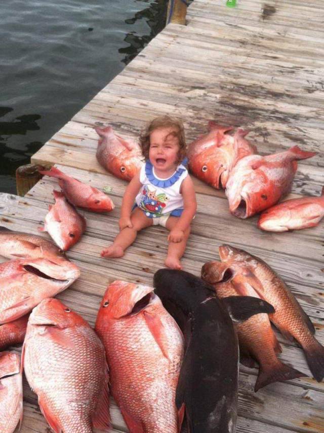Content Image