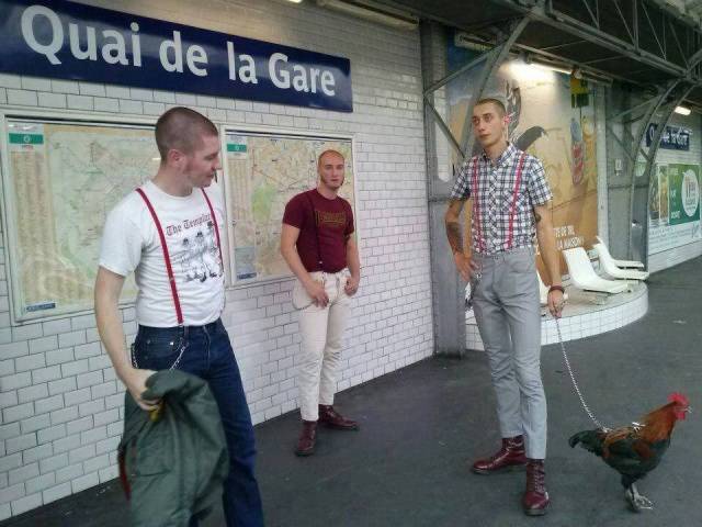 Morning Picdump