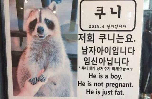 Content Image