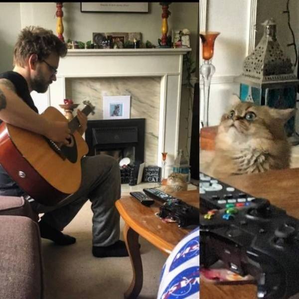 Content Image