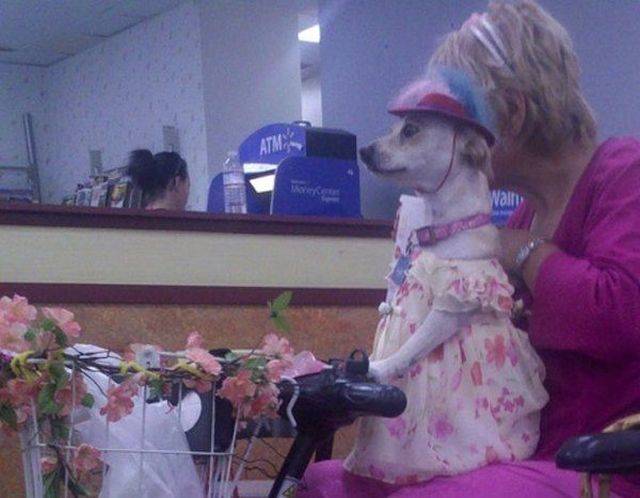 Content Image