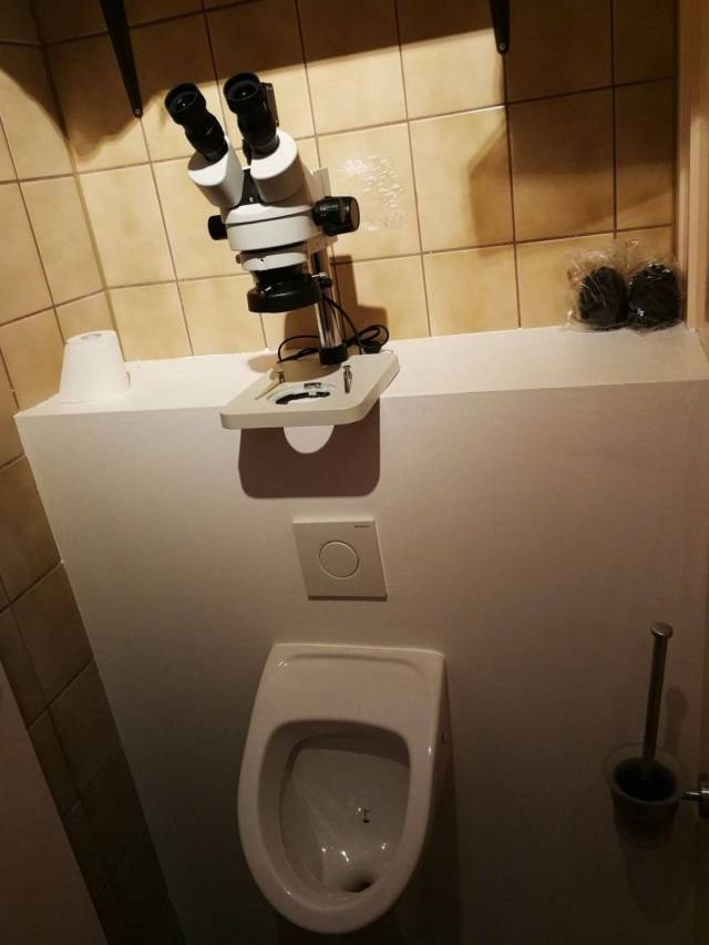 Daily Picdump