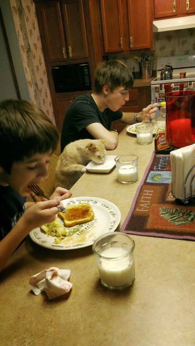 Daily Picdump