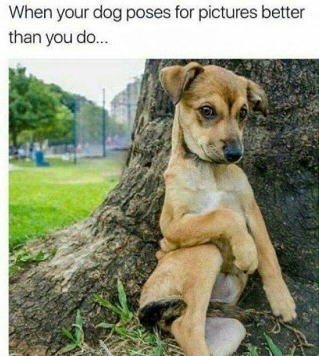 Funny Picdump