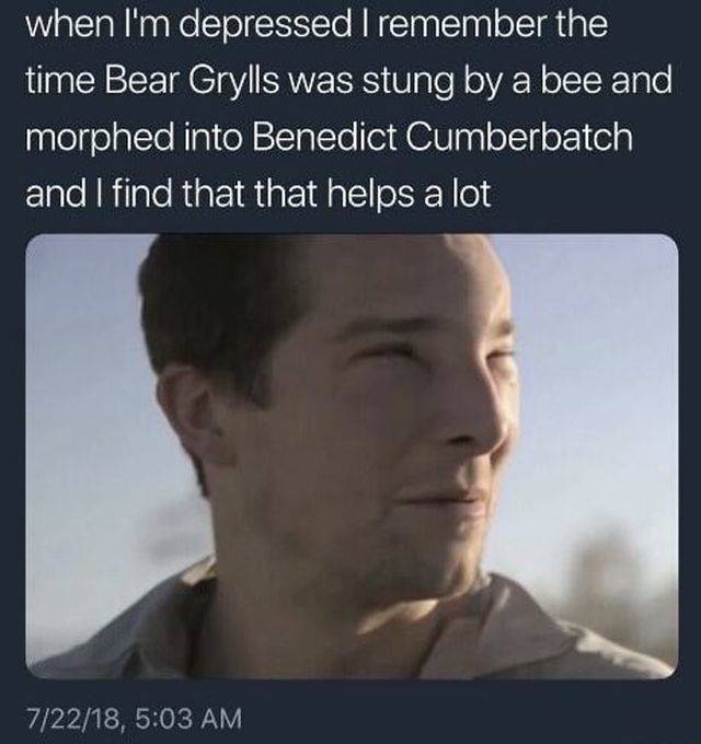 Content Image