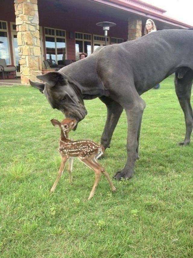 Daily Picdump