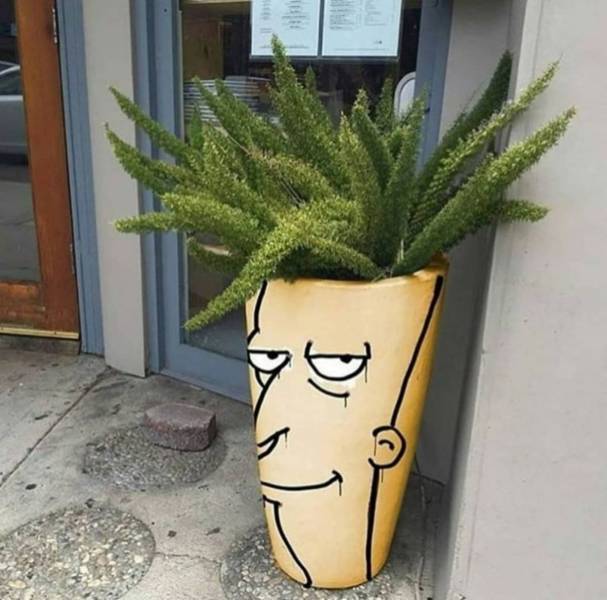 Content Image