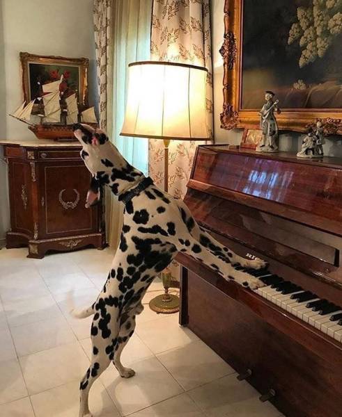 Morning Picdump