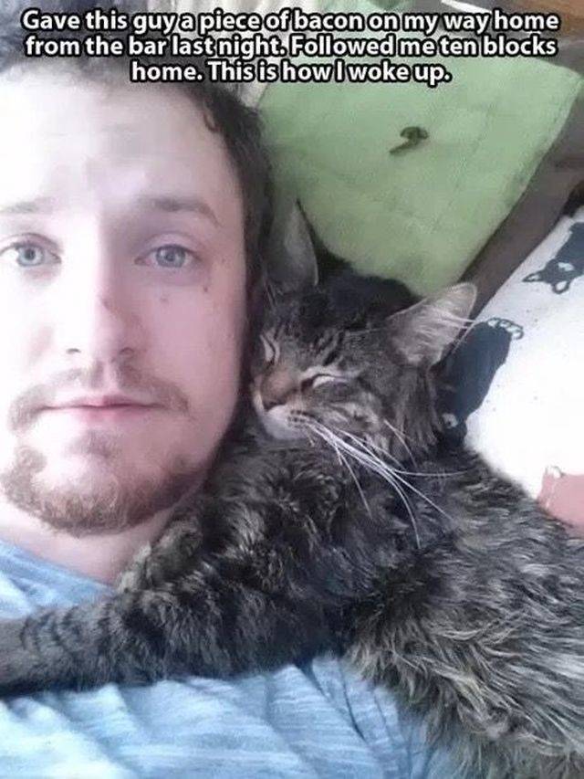 Morning Picdump